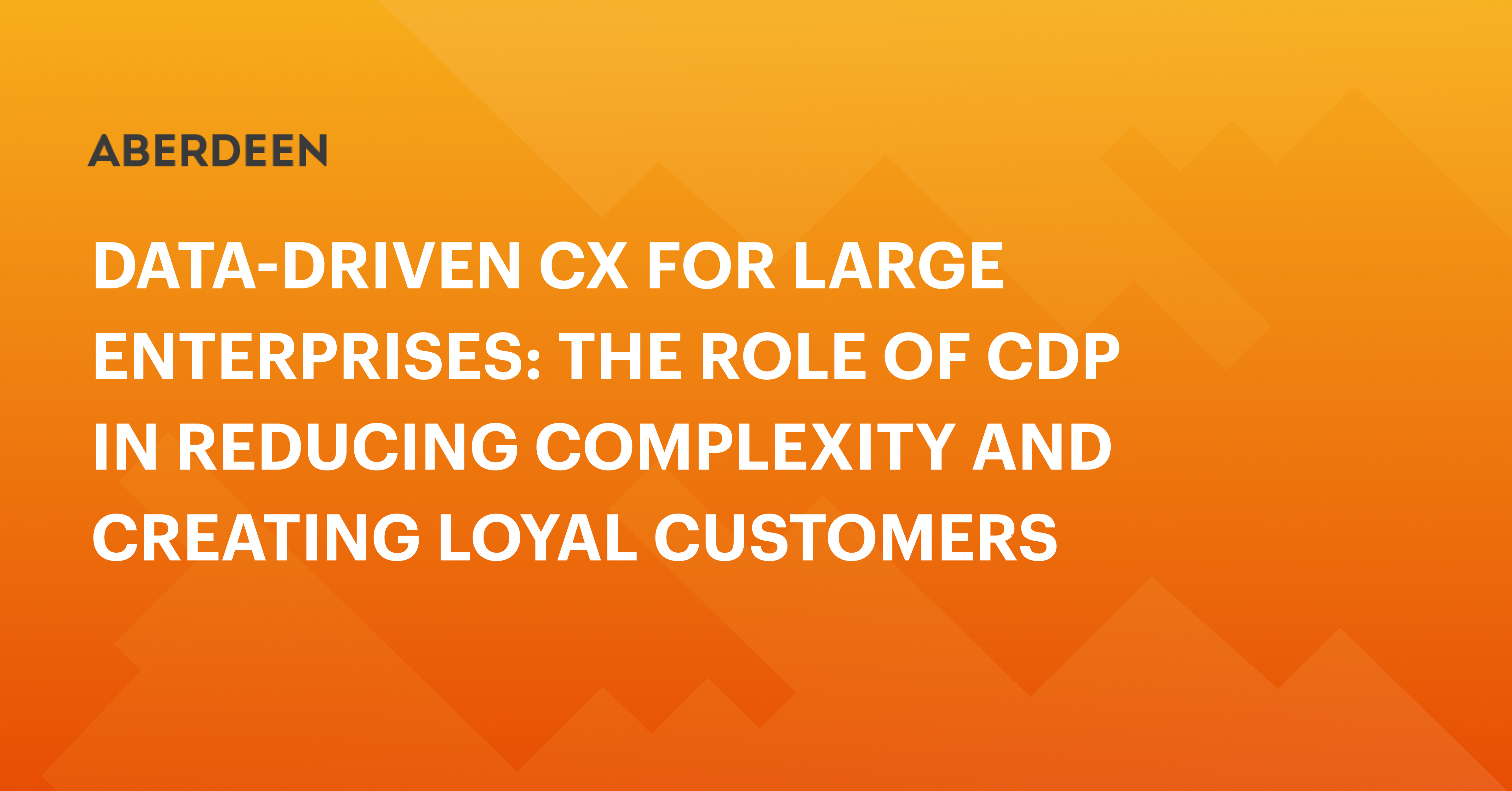 The Role of a CDP for Large Enterprises