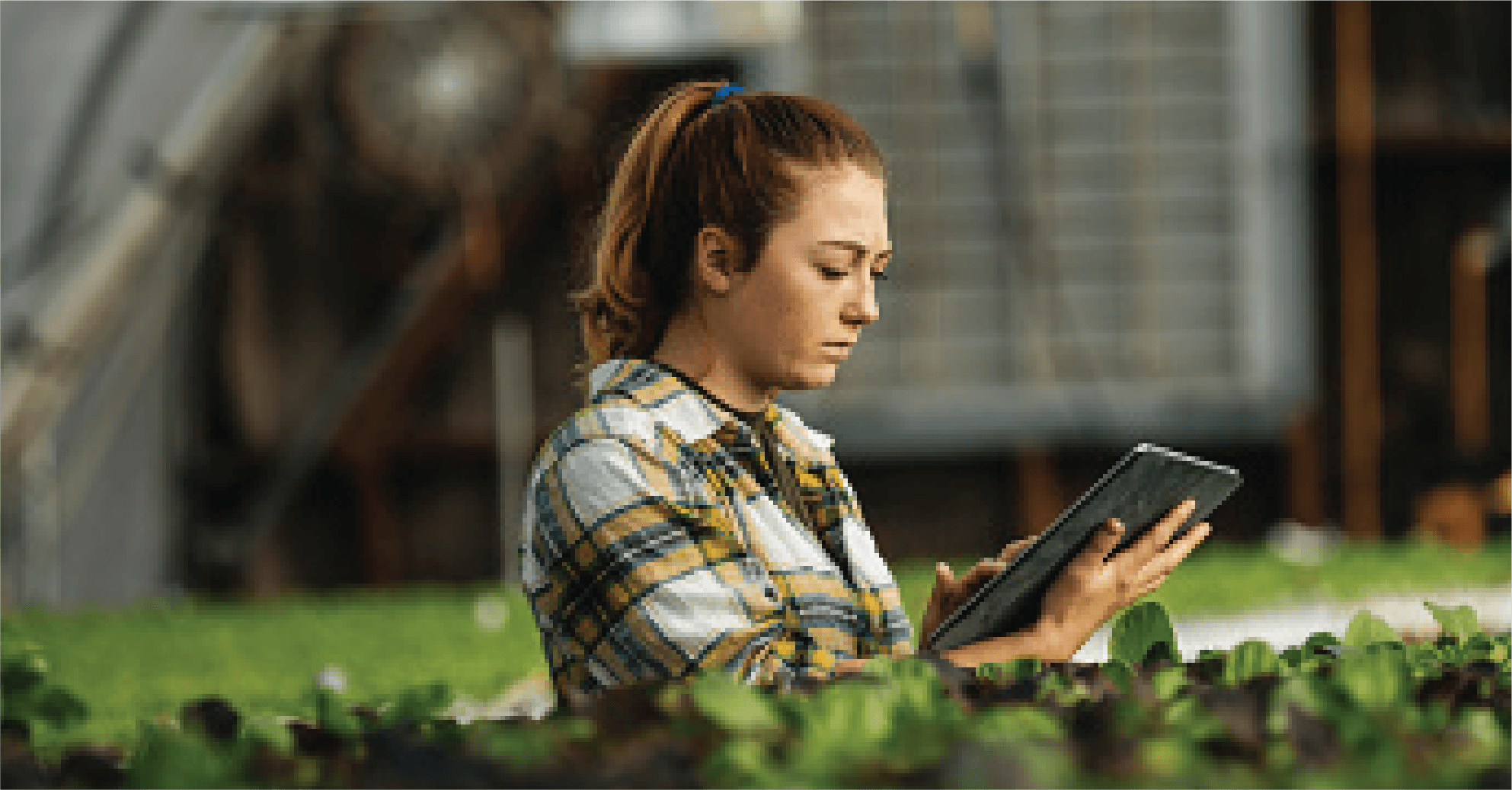 Lady looking confused at tablet while in a plant farm