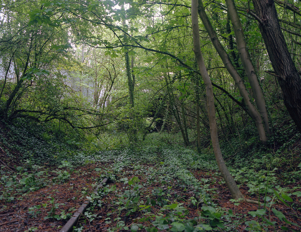 Maarten De Vrieze
— Desire Lines 86