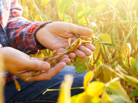 Línea de Agroinsumos de Agri Liquid Solutions
