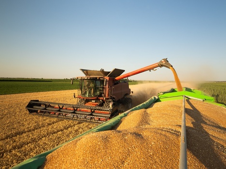 Maquinaria Nacional Fabricada en Santa Fe
