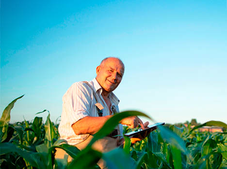 Financiamiento en Dólares