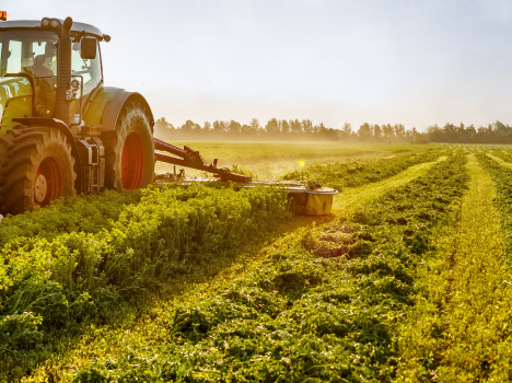 Línea de financiamiento para clientes de Don Mario