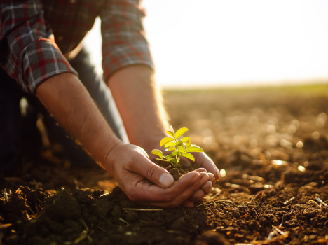 Línea de Capital de Trabajo de BASF Argentina