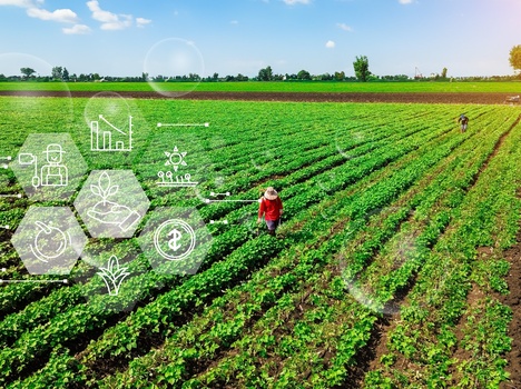 Inversiones Tecnológicas para Productores de Santa Fe