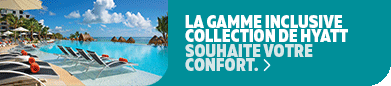 SVI 10926028091 POM Hyatt Web Banner 391x86 FR