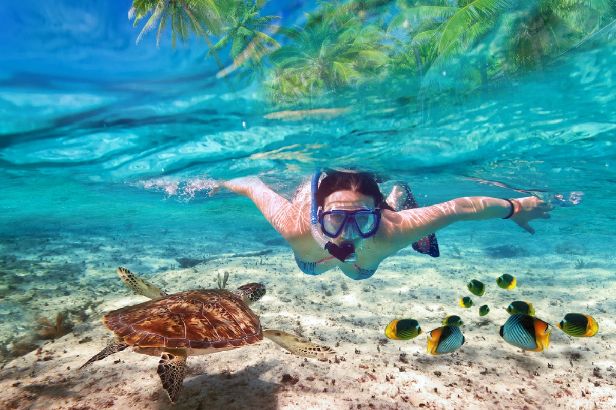 Girl snorkelling beside a sea turtle and colourful fish