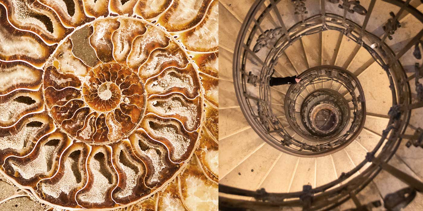 Detail of ammonite fossil shell with mineral crystals inside. Compared next to a spiral stone staircase in the Basilica of St. Stephen in Budapest, Hungary.