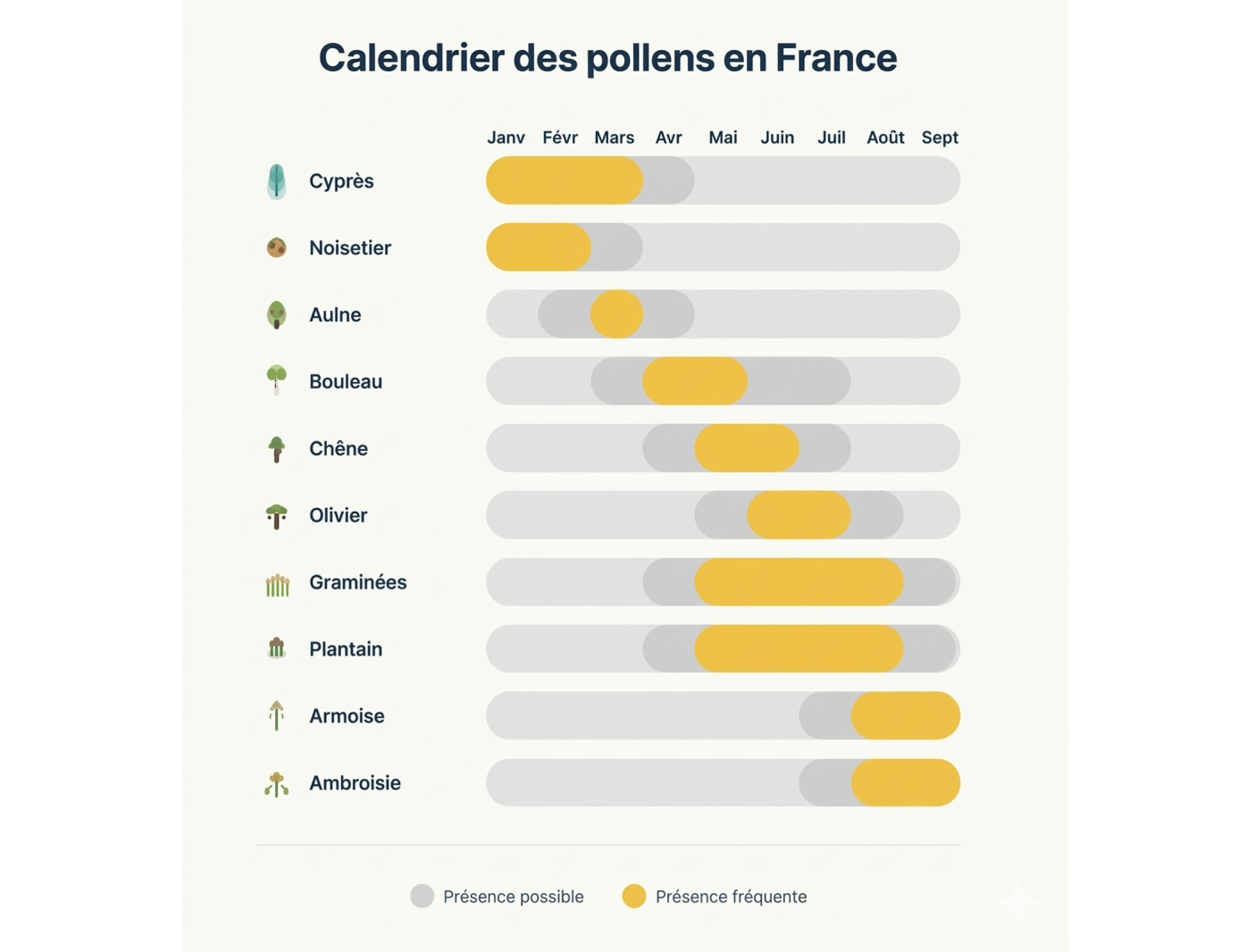 Pollen Infographic 2400x1600