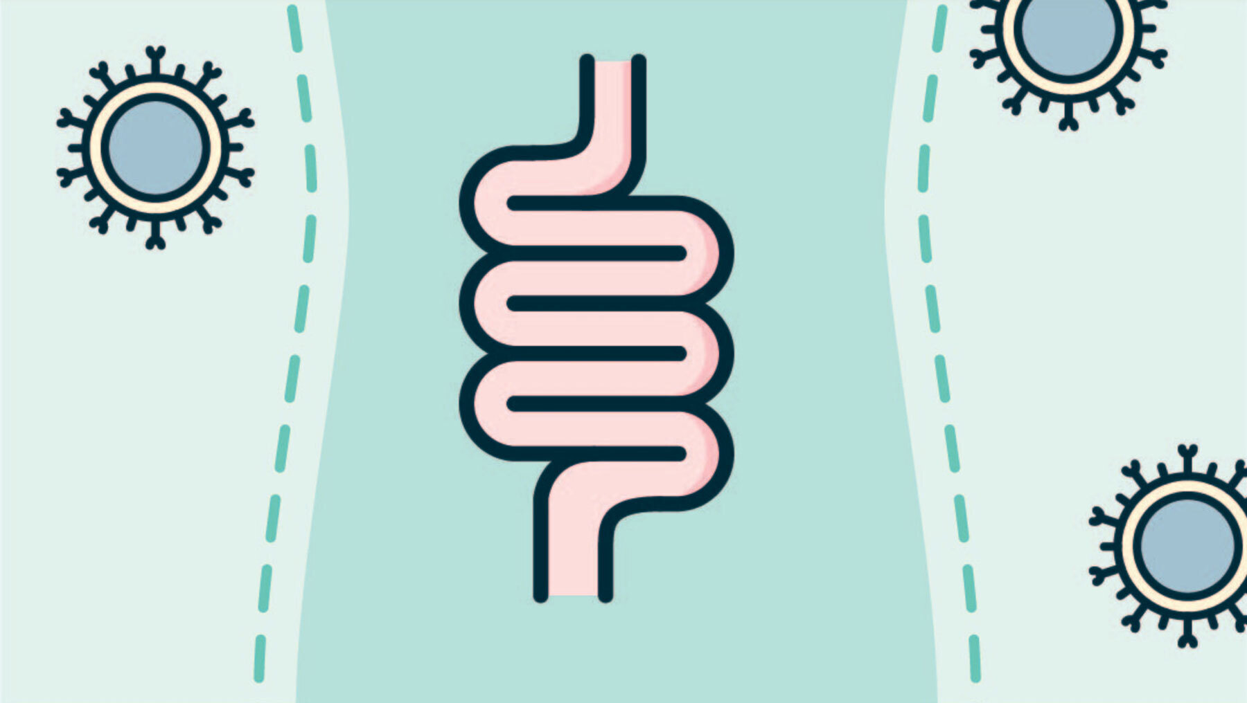 Illustration d'une flore intestinale