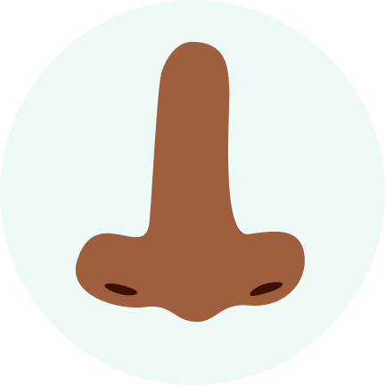 Nese