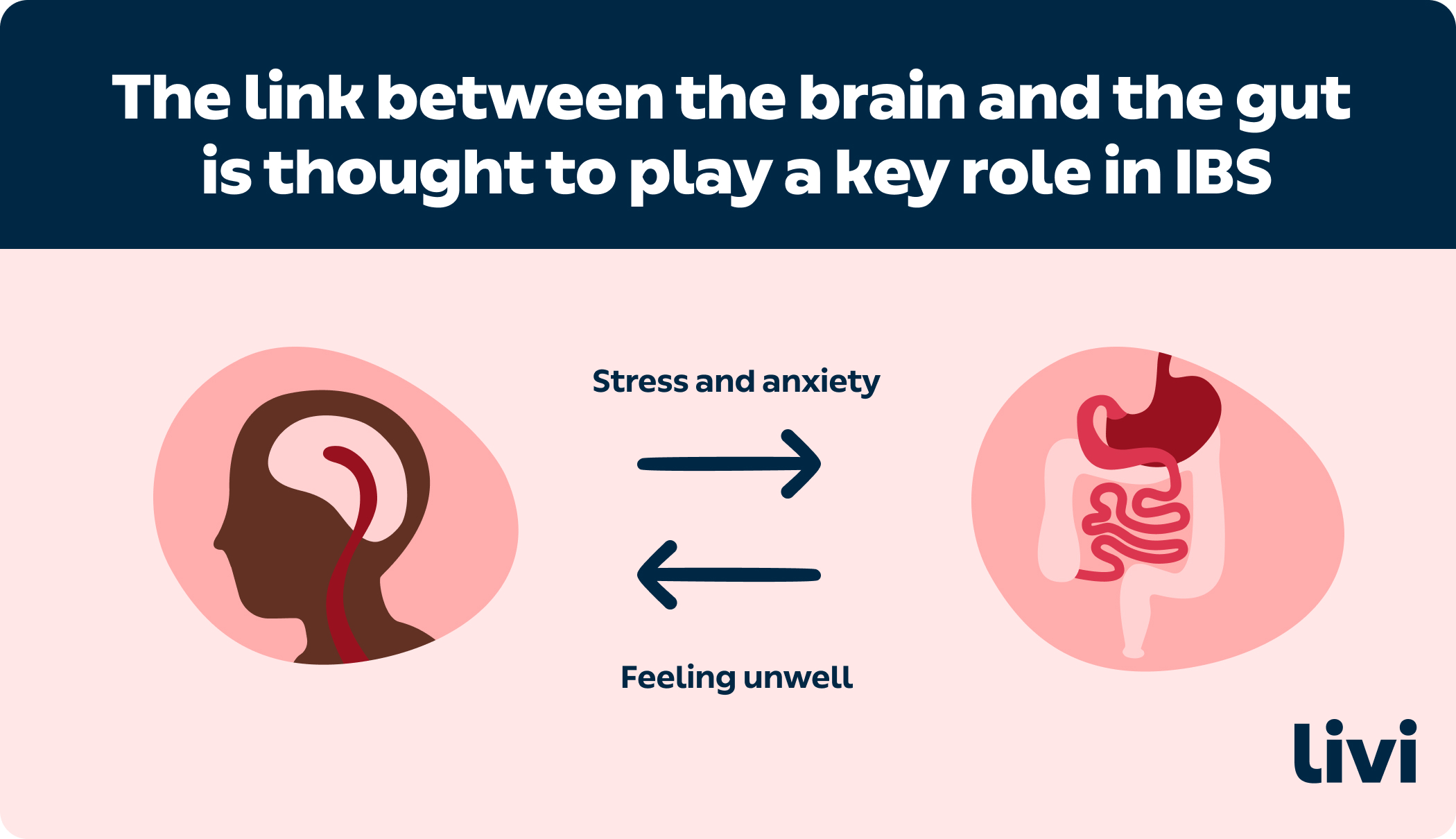 The link between the brain and the gut is thought to play a key role in IBS