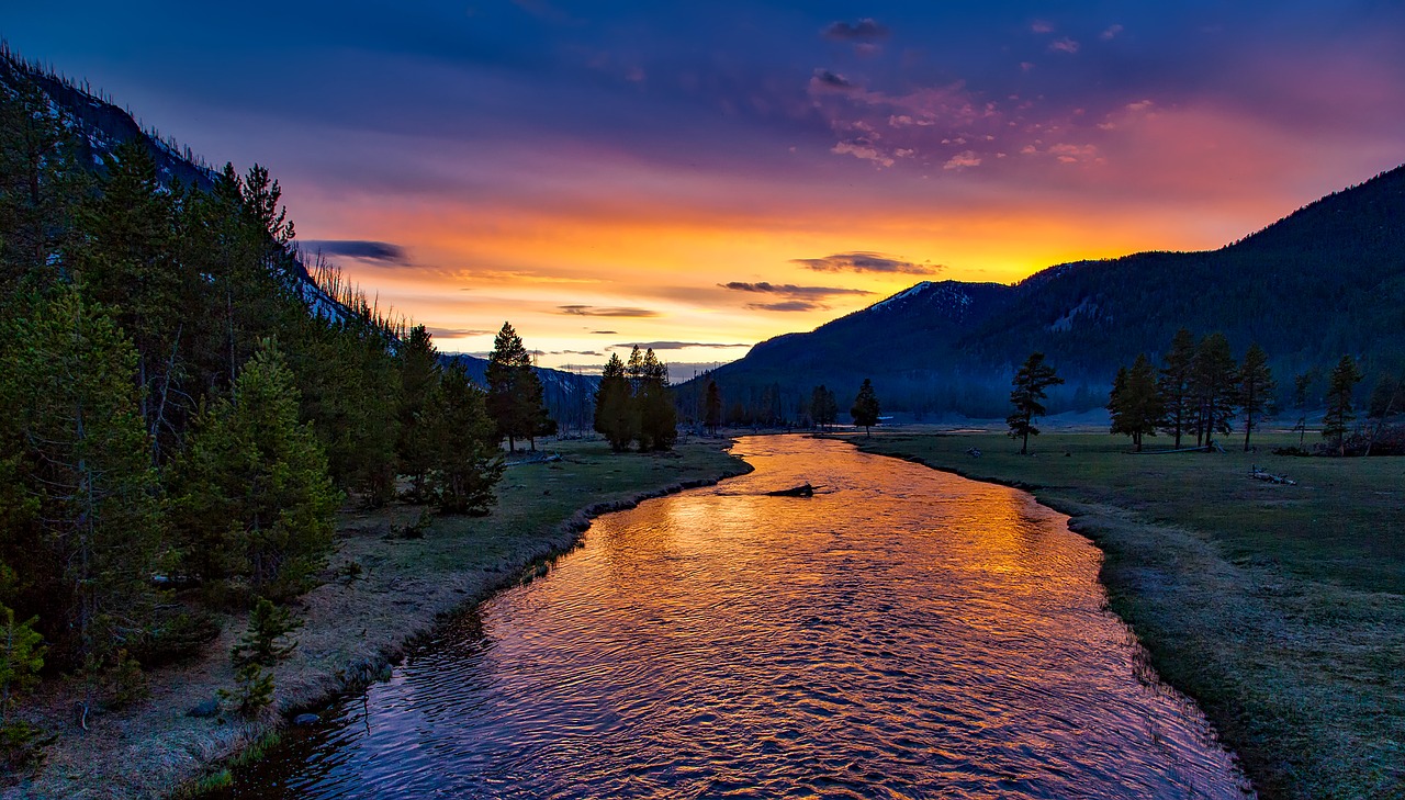 Yellowstone