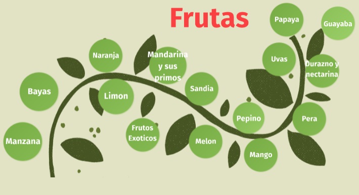 8. Mind map on fruits.