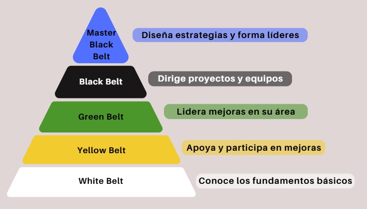 niveles  Six Sigma