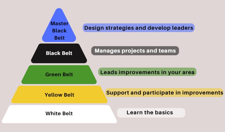niveles  Six Sigma en ingles