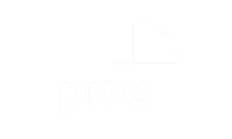 Logo: PWC White