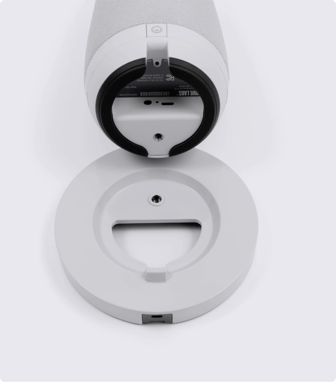 Owl Installation | Owl Stand