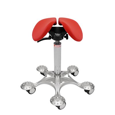 Salli Swing