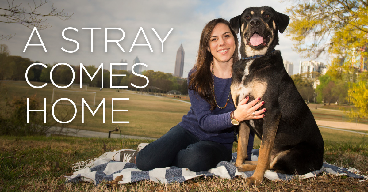 Oct-2019-Pet-Gazette-Real-Life-Claim-Story-header