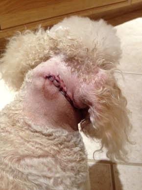 Ricky-Surgery2