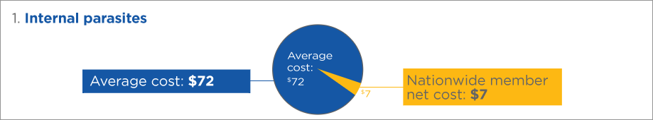 Every Petinsurance LP1 Reptile Graph