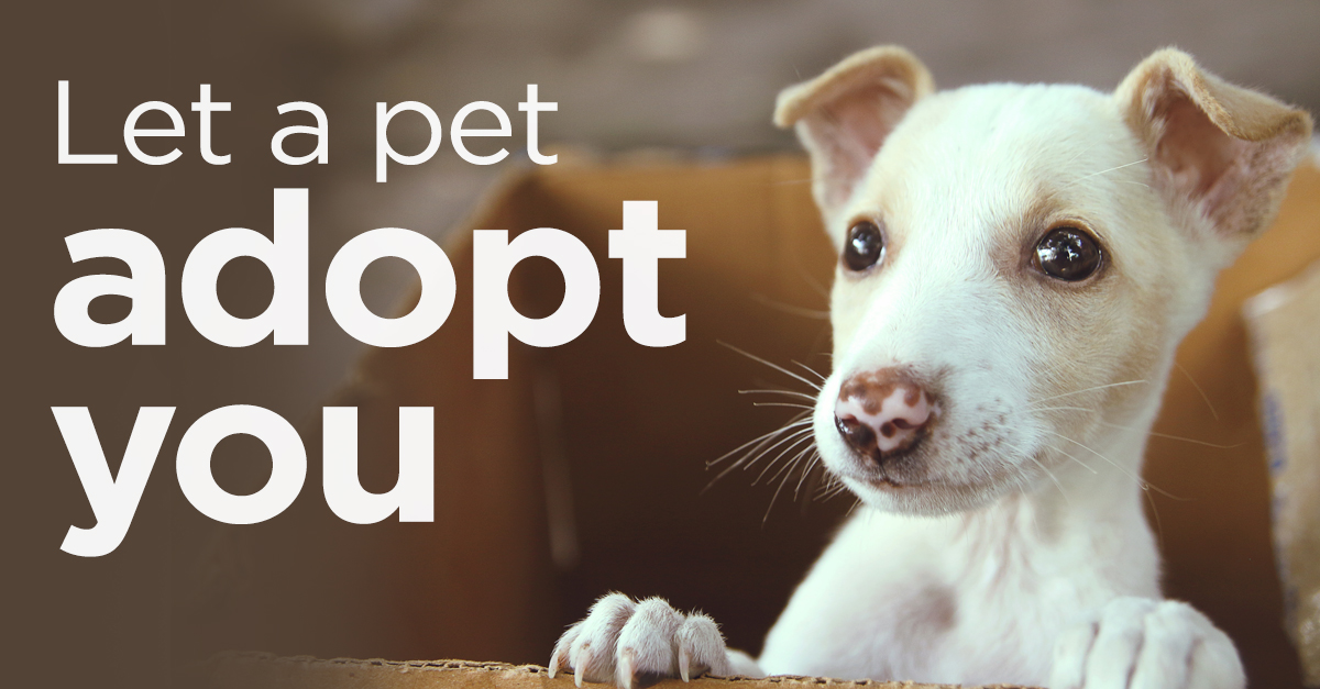 Apr-2019-Pet-Gazette-Treats-For-Employees-header