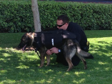 k94