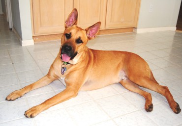 Buster_Today2-370x257