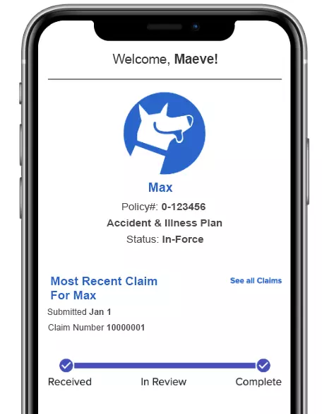 Phone mockup