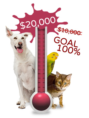 thermometer