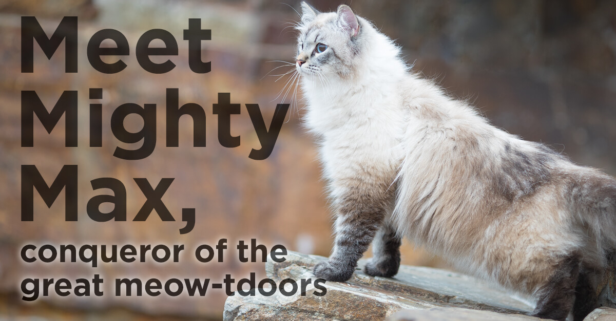 Sept-2018-Pet-Gazette-Real-Life-Claim-Story-header