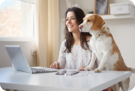 Checking out pet insurance