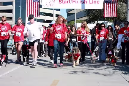 2012 Long Beach VPI K9K