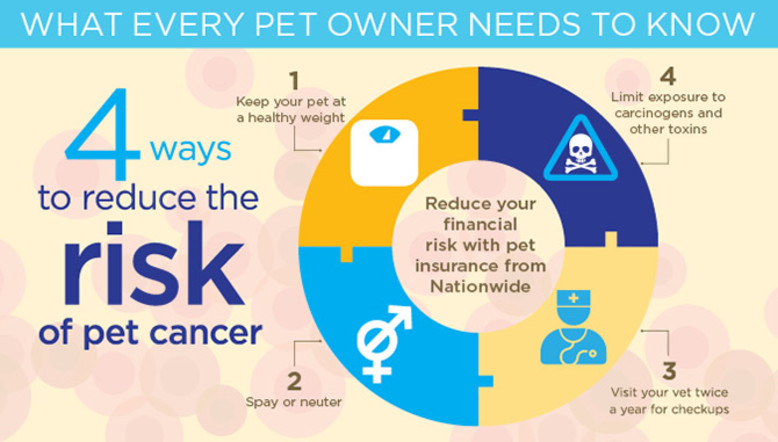 Pet Gazette > Extras November 2015