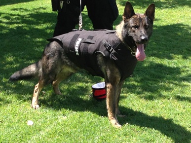 k96