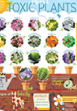 spring-pet-hazards-infographic-201803