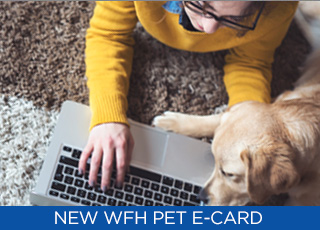 Referral-Thumbnail-WFH-Pet-Sweepstakes