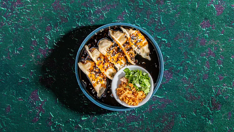 dumpling-image dumpling-image