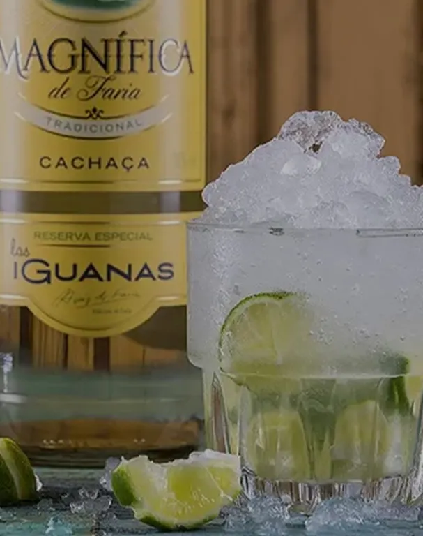 LI Cahaca Mobile LI Cahaca Mobile