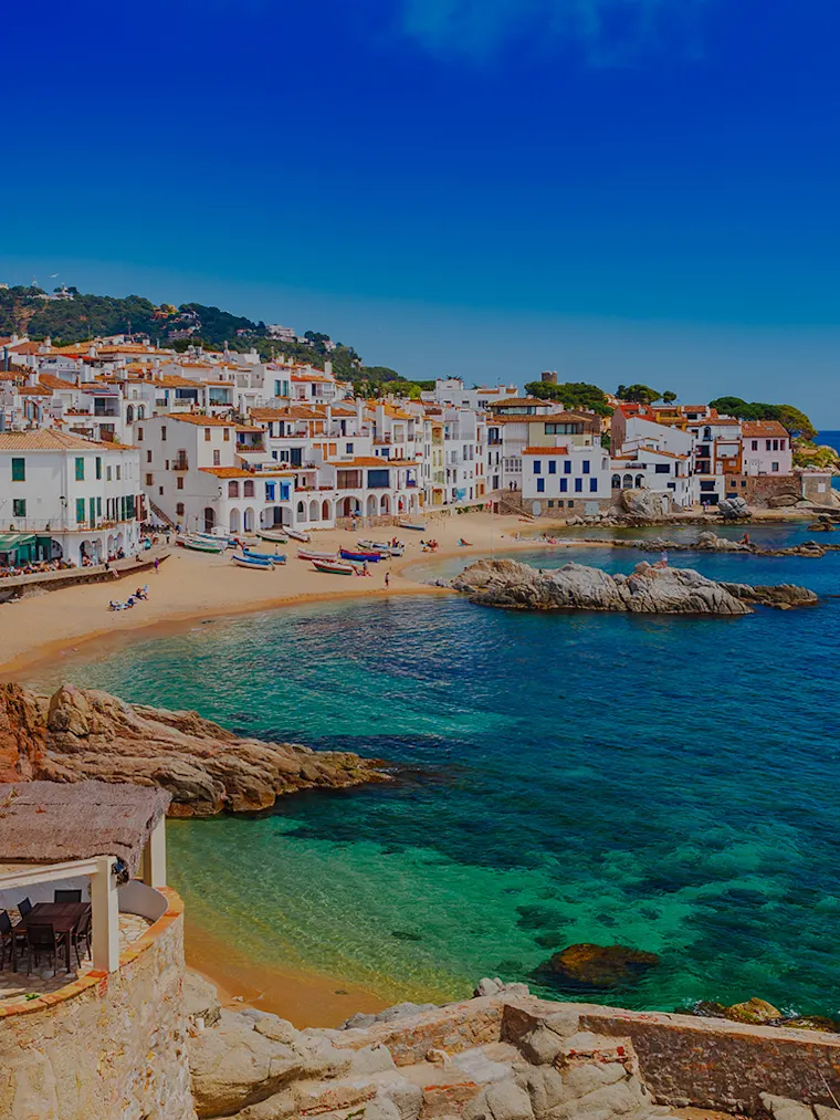 Vday mob new Vday mob new