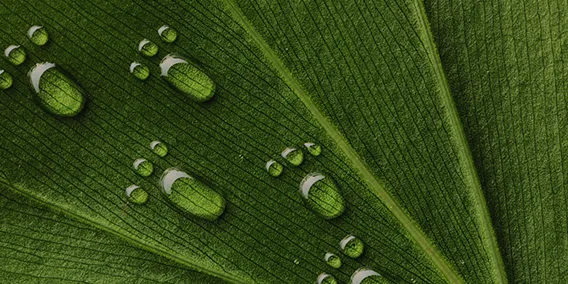 Hållbarhetsrapport 568x284