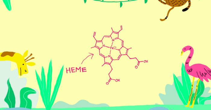 impossible-foods-heme-molecule-700x366.png
