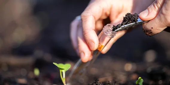 avloppsboken contentsida3 mobile-thumb