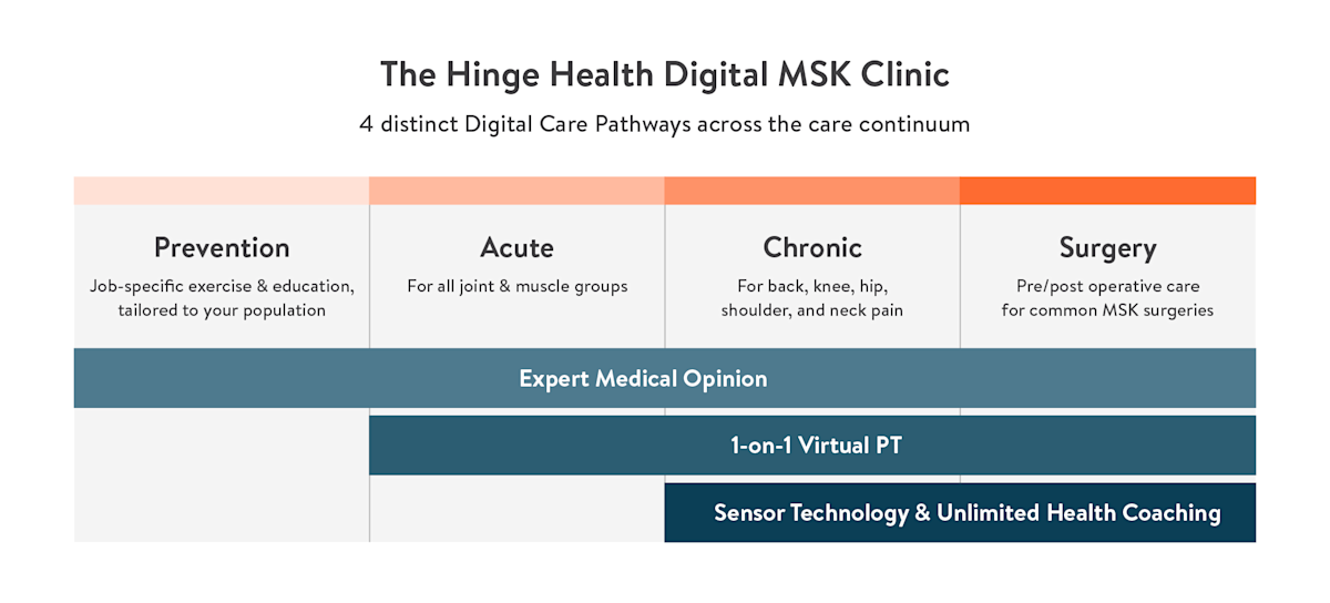 Hinge Health is the first Digital Musculoskeletal Clinic