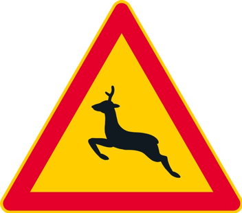 Kauriseläin.