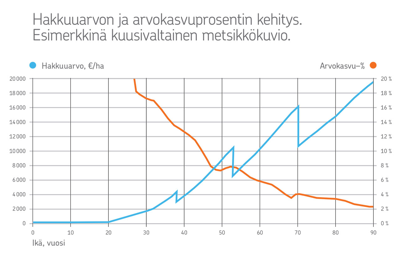 Metsän hakkuuarvo ja arvokasvuprosentti.