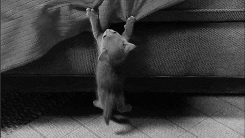 Blog post image: hang-in-there.gif