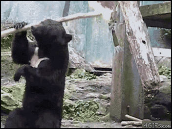 Blog post image: 2iIKB.gif