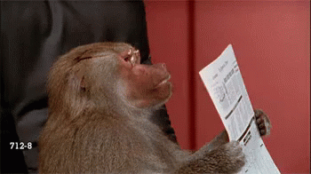 Blog post image: tenor.gif